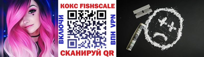 Cocaine FishScale  блэк спрут tor  Бавлы 