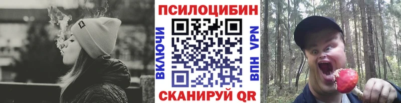 Псилоцибиновые грибы прущие грибы  Бавлы 